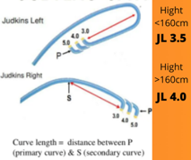 Angiogram catheters 