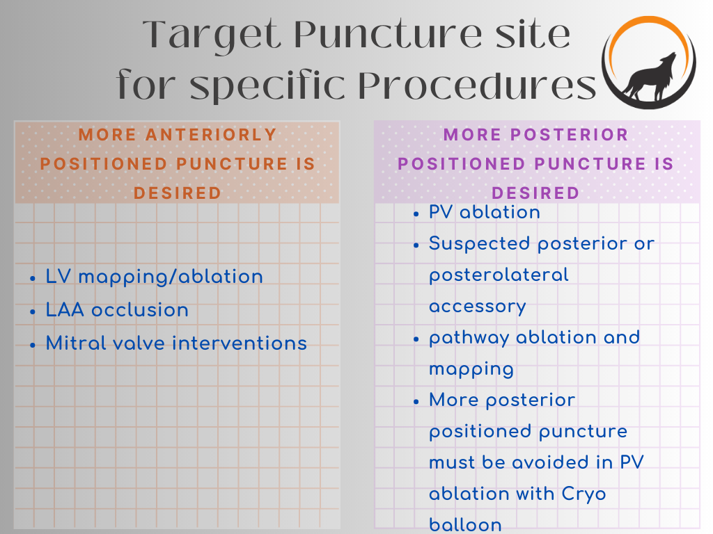 Target sites for Transeptal Puncture